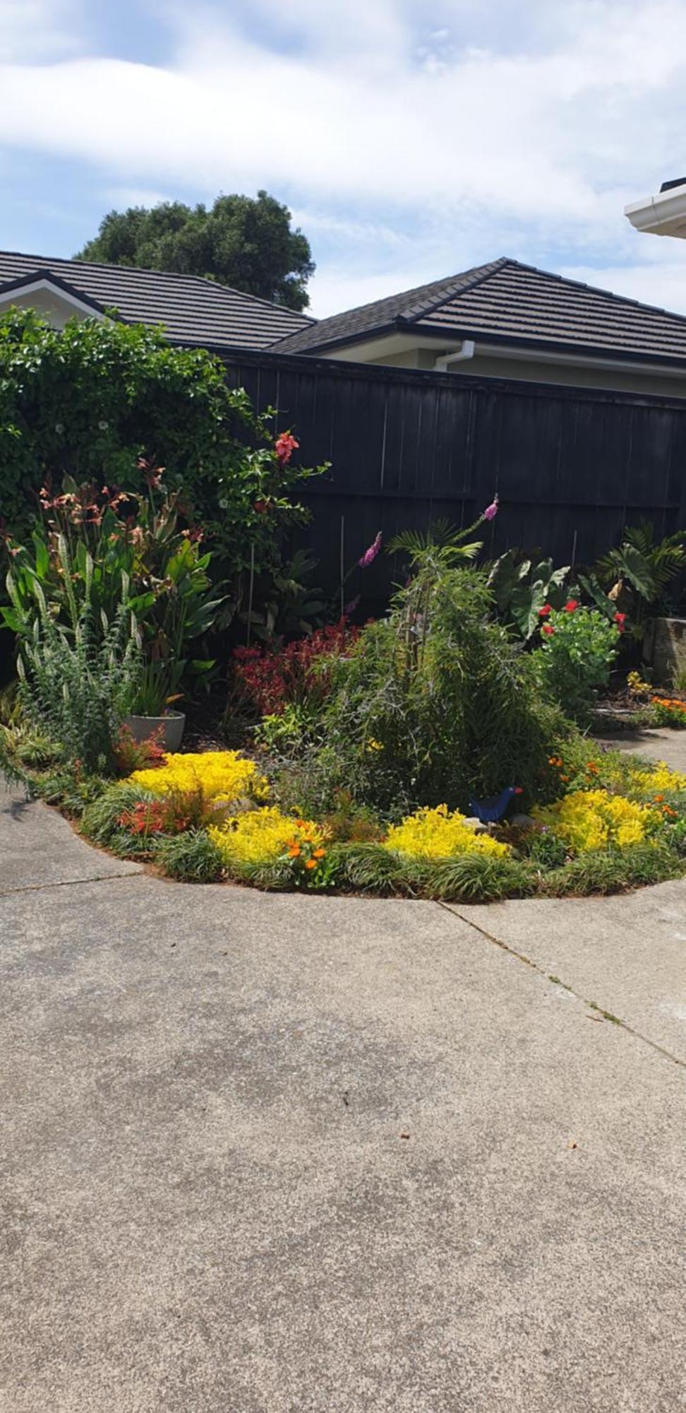 Warm & Welcome On Whiteley New Plymouth Exterior foto